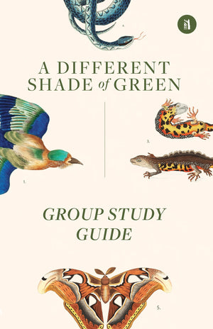Different Shade of Green, A: Group Study Guide by Gordon Wilson