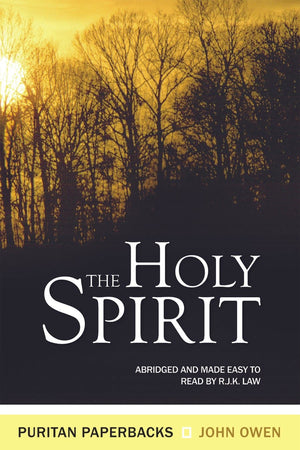 The Holy Spirit | Owen John | 9780851516981