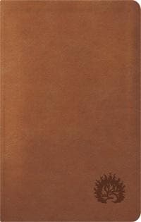 ESV Reformation Study Bible, Condensed Edition - Light Brown, Leather-Like | 9781642892772