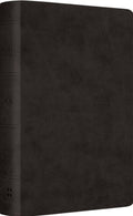 ESV Pocket Bible (TruTone, Black) | 9781433568831