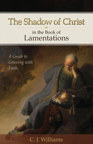 Shadow of Christ in the Book of Lamentations, The by C. J. Williams