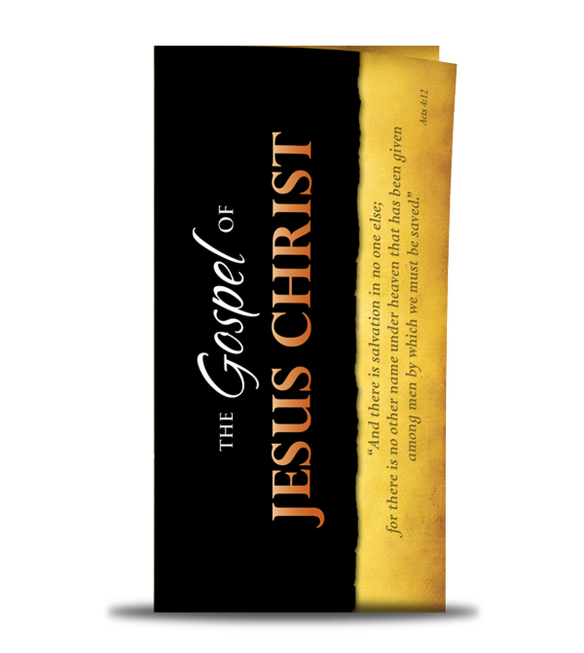 Gospel of Jesus Christ by Paul Washer